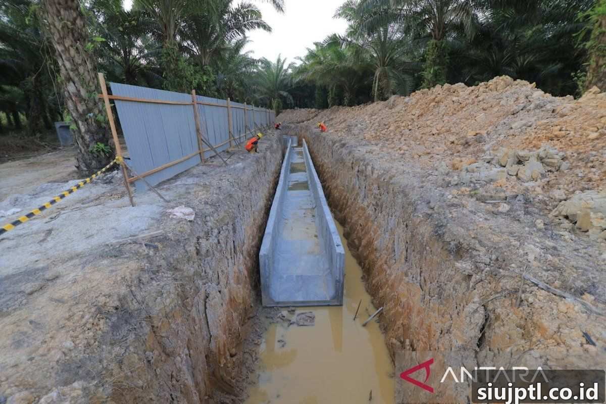 Serkom listrik Analis Muda Konsultansi Pengawasan Jaringan Transmisi